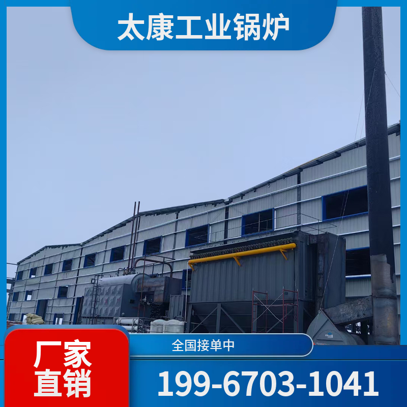 怀化生物质蒸汽锅炉
